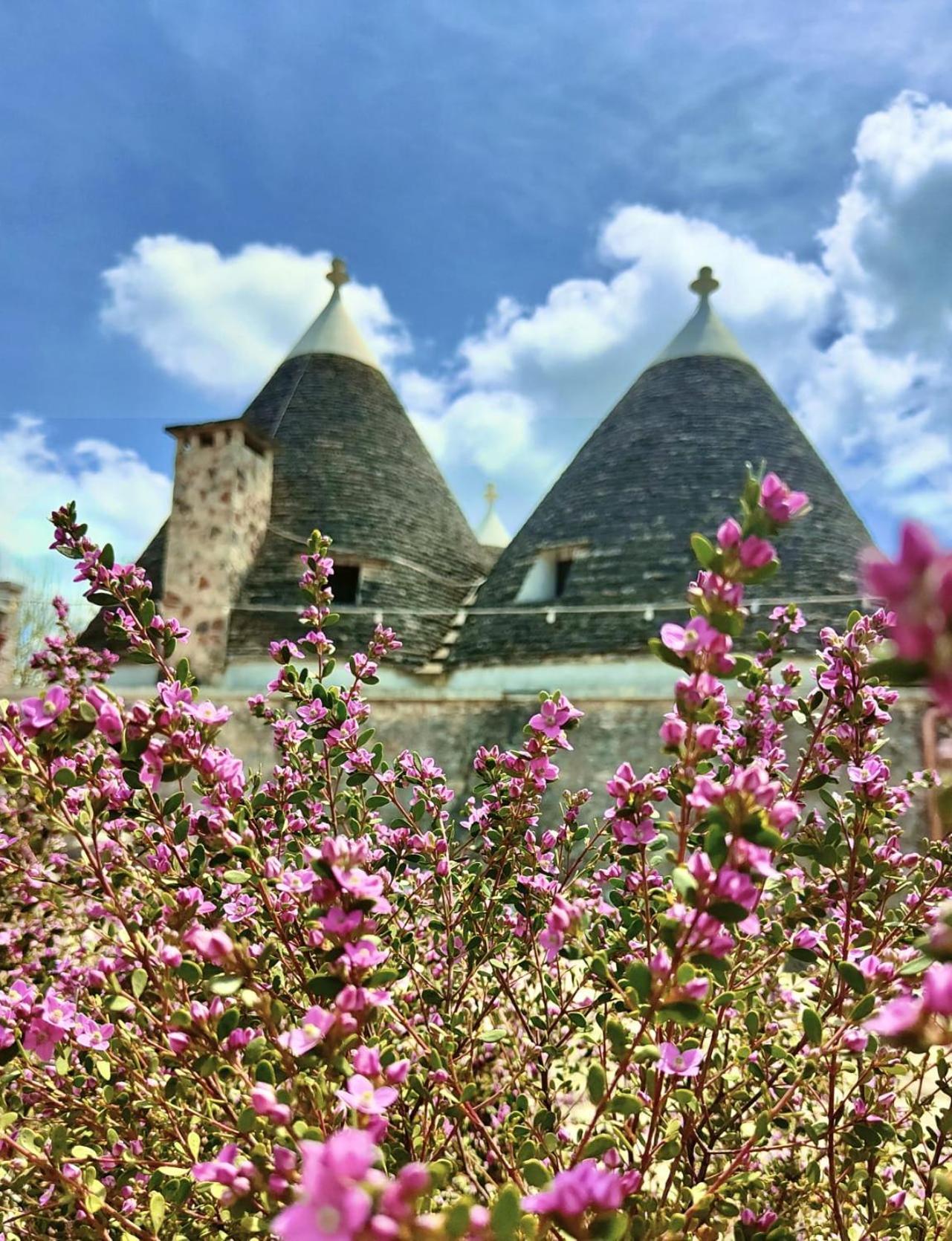 Trulli Allegretti โนซิ ภายนอก รูปภาพ